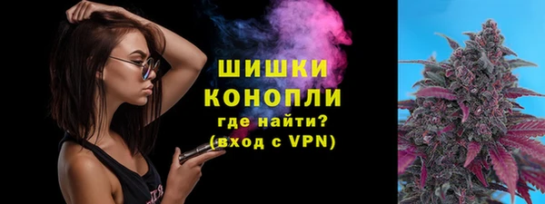амф Володарск