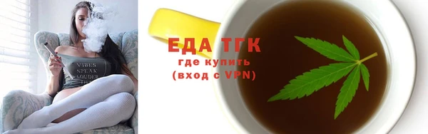 индика Нягань