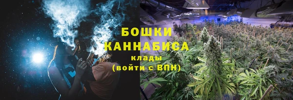 прущие грибы Вязники
