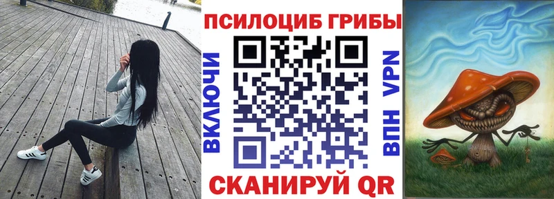 Купить где  Ковылкино  Псилоцибиновые грибы мицелий 